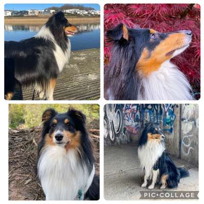 23. Collagen-Challenge: Portraits-Beitrag-Bild