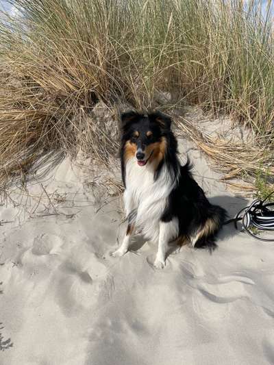 Handyfoto challenge Nr. 13: Waschlappen raus!-Beitrag-Bild