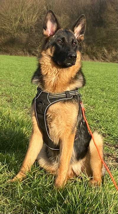 Lieblingsbild-Beitrag-Bild