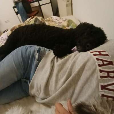 Gemeinsames Kuscheln im Bett!-Beitrag-Bild