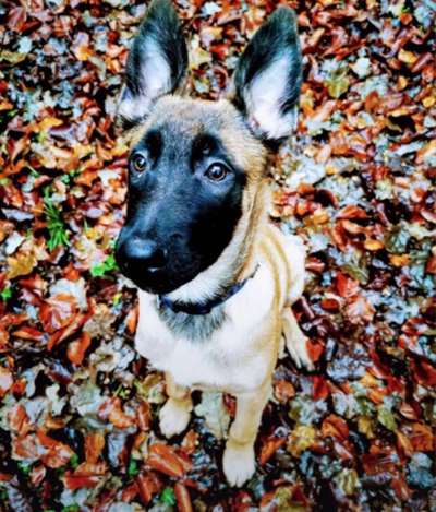 Handy-Foto Challange Nr. 10-Beitrag-Bild