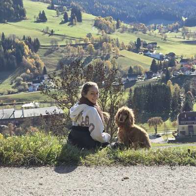 Hundetreffen-Hundespaziergang-Bild