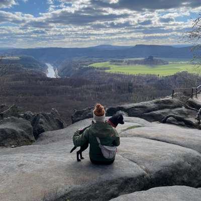 Hundetreffen-Gemeinsame Spaziergänge-Bild