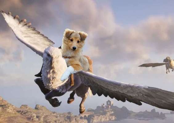 Photomontagen mit Hund-Beitrag-Bild