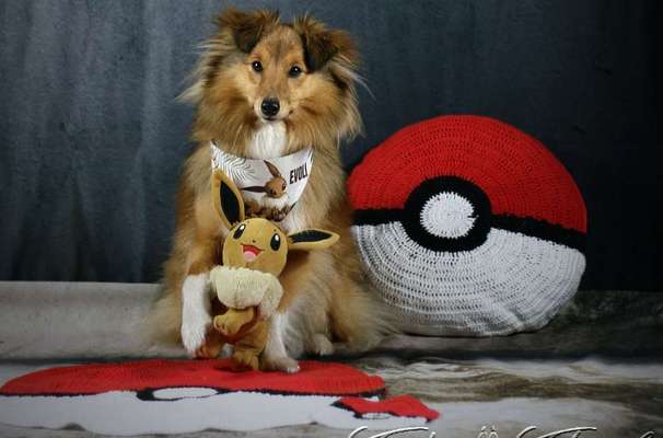 Geistige Förderung-Beitrag-Bild