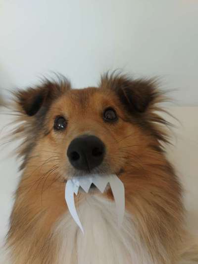 Trick Challenge 13 - Etwas Halten-Beitrag-Bild