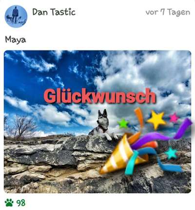 Dogorama Photo Challenge - Steine/Felsen-Beitrag-Bild