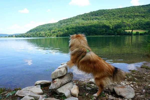 Meine Lieblings Wasser Momente-Beitrag-Bild