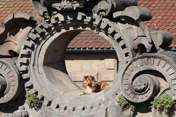 70. Handy-Fotochallenge: Zeitreisen-Beitrag-Bild