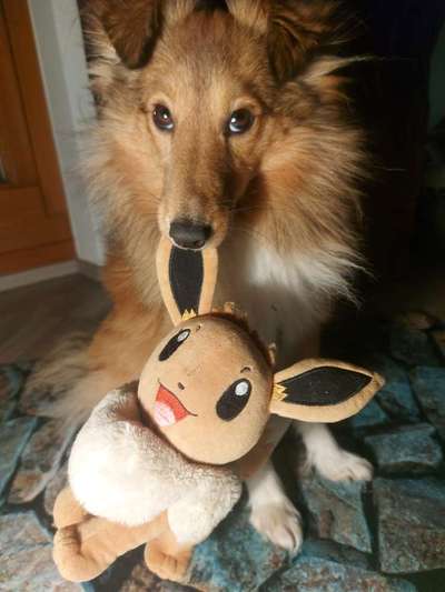 Ich hätte da mal eine Frage.....-Beitrag-Bild