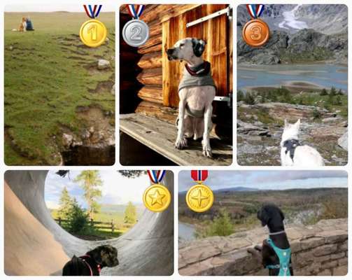 Dogorama Foto Challenge - Wanderziel-Beitrag-Bild