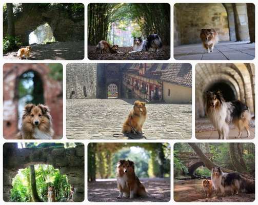 58. Foto Collagen Challenge: Torbögen-Beitrag-Bild