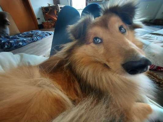 Fotochallange 84-Beitrag-Bild