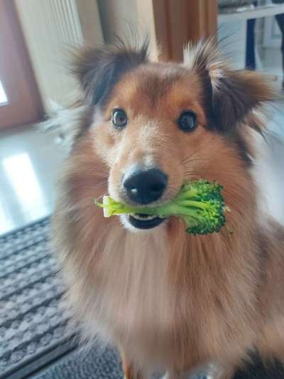 Lieblingsobst und -gemüse-Beitrag-Bild