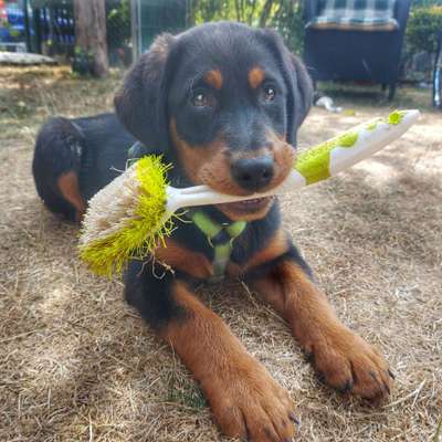 Doppelgänger gesucht !-Beitrag-Bild