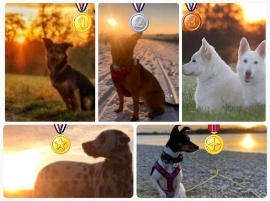 14. Collagen Challenge- Sonnenaufgang & -Untergang-Beitrag-Bild