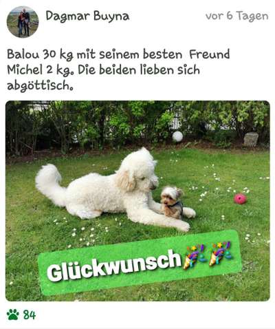 Dogorama Photo Challenge - Gegensätze-Beitrag-Bild