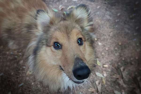 Handy-Foto Challange Nr. 10-Beitrag-Bild