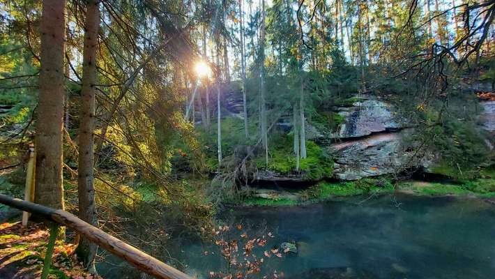 Die wunderschöne Welt mit Hund.-Beitrag-Bild