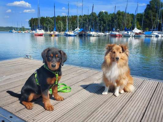 Fotochallenge Nr. 94 It's summer time-Beitrag-Bild