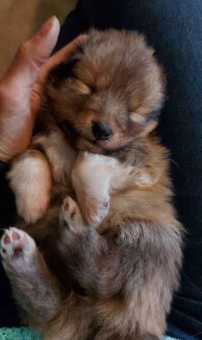 Erstes Bild-Beitrag-Bild