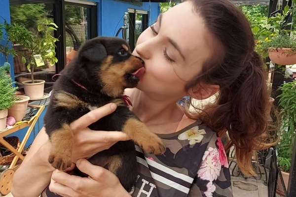 Challenge 33 - Du und dein Hund-Beitrag-Bild