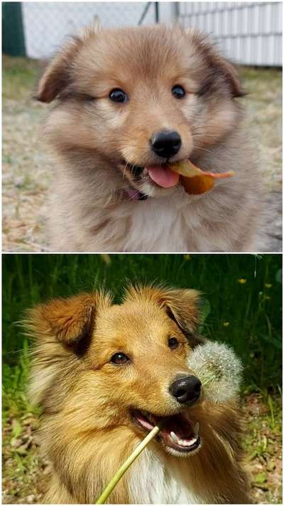 Vorher.... Nachher-Beitrag-Bild