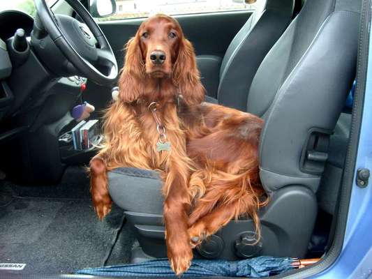 CHALLENGE NR. 18 - ON TOUR-Beitrag-Bild