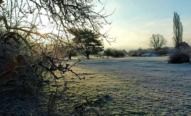 Hundeauslaufgebiet-Moorenbrunnerfeld-Bild