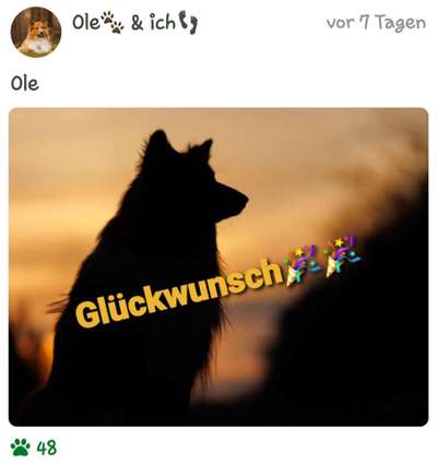 Dogorama Foto Challenge - Dämmerung-Beitrag-Bild