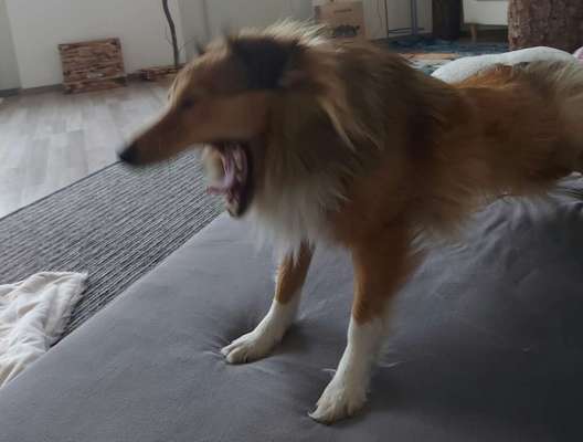 Un...scharf Bilder-Beitrag-Bild