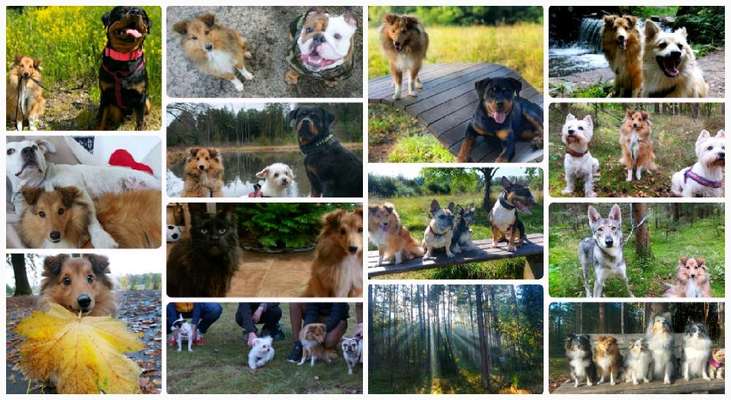 Euer schönster Moment des Jahres auf einem Bild!-Beitrag-Bild