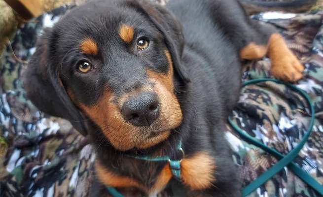 Doppelgänger gesucht !-Beitrag-Bild