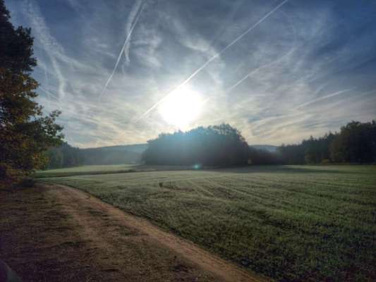 Die wunderschöne Welt mit Hund.-Beitrag-Bild