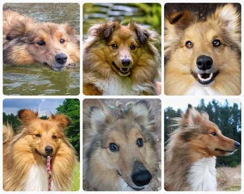 Was können eure Ohren so? ;)-Beitrag-Bild