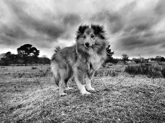 Foto-Challenge 76: Foto in Schwarz-Weiss-Beitrag-Bild