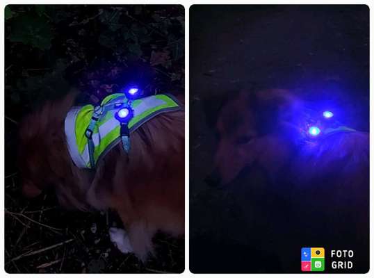 Beleuchtung im Herbst?-Beitrag-Bild