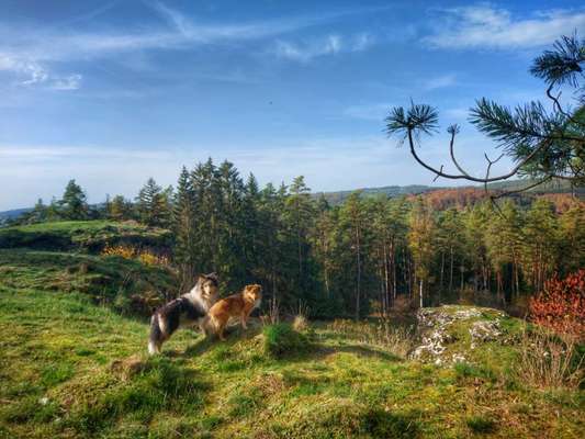 Fotochallenge Nr 107-Beitrag-Bild