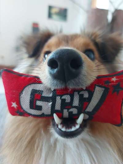 Ratespaß geht weiter-Beitrag-Bild