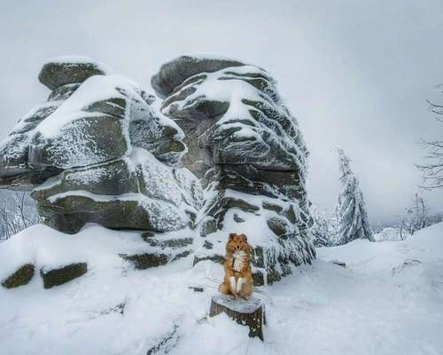 Handyfoto Challange  - Winter,Schnee-Beitrag-Bild