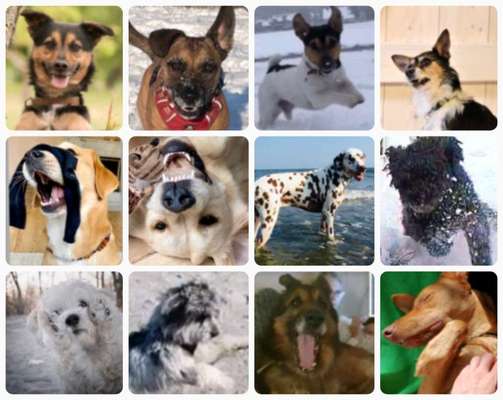 22. Collagen Challenge- Lebensfreude-Beitrag-Bild