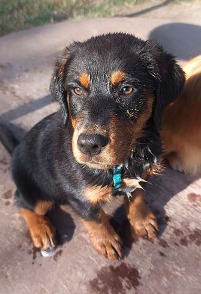 Doppelgänger gesucht !-Beitrag-Bild