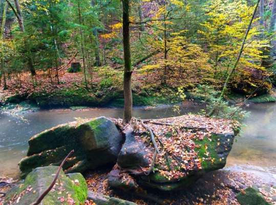 Ton in Ton-Beitrag-Bild