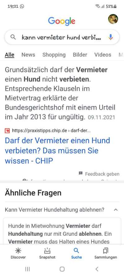 Suchen hundefreundliche Vermieter-Beitrag-Bild