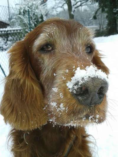 Die graue Eminenz-Beitrag-Bild