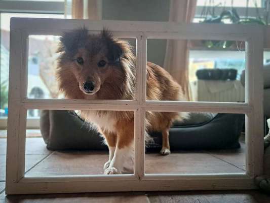 120. Fotochallenge-Beitrag-Bild