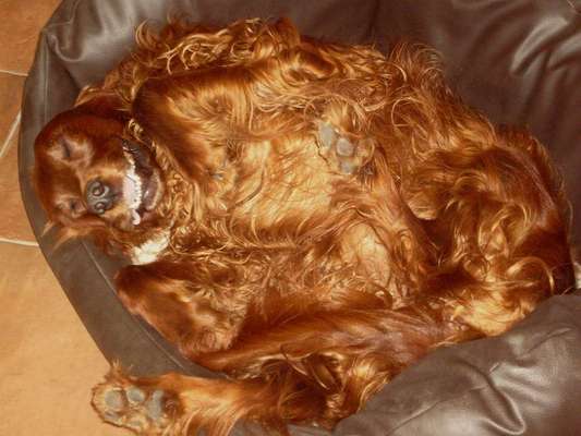 CHALLENGE NR. 34 - Liege-/Schlafpositionen-Beitrag-Bild