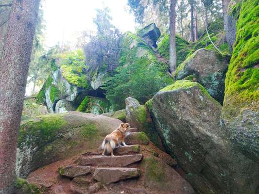 21. Handy-Foto-Challenge-Beitrag-Bild