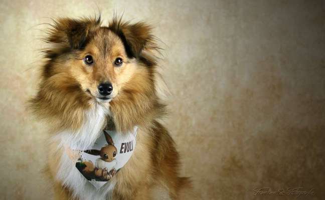 Doppelgänger gesucht !-Beitrag-Bild