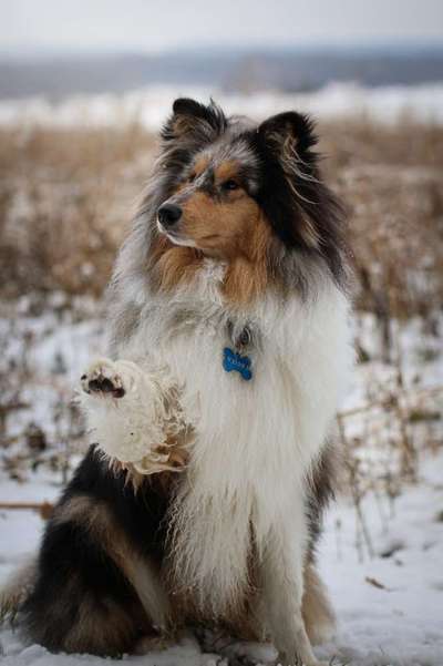 Ton in Ton-Beitrag-Bild